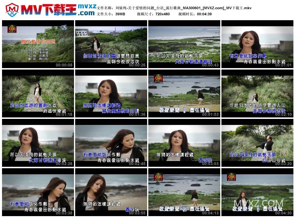 刘依纯-关于爱情的问题_台语_流行歌曲_MA300601